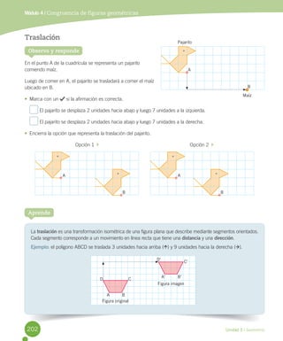Unidad 5 / Geometría
Observa y responde
Traslación
En	el	punto	A	de	la	cuadrícula	se	representa	un	pajarito	
comiendo	maíz.
Luego	de	comer	en	A,	el	pajarito	se	trasladará	a	comer	el	maíz		
ubicado	en	B.
•	 Marca	con	un	 	si	la	afirmación	es	correcta.
	El	pajarito	se	desplaza	2	unidades	hacia	abajo	y	luego	7	unidades	a	la	izquierda.
	El	pajarito	se	desplaza	2	unidades	hacia	abajo	y	luego	7	unidades	a	la	derecha.
•	 Encierra	la	opción	que	representa	la	traslación	del	pajarito.
	 Opción	1		 	 Opción	2		
Módulo 4 / Congruencia de figuras geométricas
La	traslación	es	una	transformación	isométrica	de	una	figura	plana	que	describe	mediante	segmentos	orientados.	
Cada	segmento	corresponde	a	un	movimiento	en	línea	recta	que	tiene	una	distancia	y	una dirección.
Ejemplo:	el	polígono	ABCD	se	traslada	3	unidades	hacia	arriba	( )	y	9	unidades	hacia	la	derecha	( ).
Aprende
A
A’
B
B’
C
C’
D
D’
Figura imagen
Figura original
A
B
A A
B B
Pajarito
Maíz
202
 