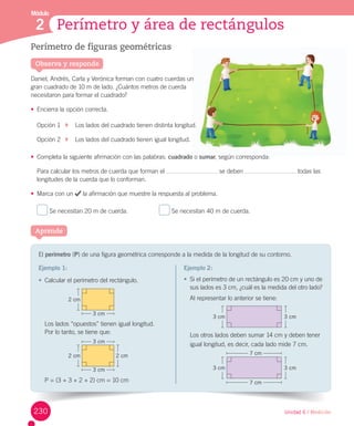 Módulo
Unidad 6 / Medición
El	perímetro	(P)	de	una	figura	geométrica	corresponde	a	la	medida	de	la	longitud	de	su	contorno.
2
Perímetro de figuras geométricas
Daniel,	Andrés,	Carla	y	Verónica	forman	con	cuatro	cuerdas	un	
gran	cuadrado	de	10	m	de	lado.	¿Cuántos	metros	de	cuerda	
necesitaron	para	formar	el	cuadrado?
•	 Encierra	la	opción	correcta.
Opción	1			 				Los	lados	del	cuadrado	tienen	distinta	longitud.
Opción	2			 				Los	lados	del	cuadrado	tienen	igual	longitud.
•	 Completa	la	siguiente	afirmación	con	las	palabras:	cuadrado	o	sumar,	según	corresponda:
Para	calcular	los	metros	de	cuerda	que	forman	el	 	se	deben	 	todas	las	
longitudes	de	la	cuerda	que	lo	conforman.
•	 Marca	con	un	 	la	afirmación	que	muestre	la	respuesta	al	problema.
	Se	necesitan	20	m	de	cuerda.																		 	Se	necesitan	40	m	de	cuerda.
Aprende
Observa y responde
Perímetro y área de rectángulos
Ejemplo 1:
•	 Calcular	el	perímetro	del	rectángulo.
Los	lados	“opuestos”	tienen	igual	longitud.	
Por	lo	tanto,	se	tiene	que:
P	=	(3	+	3	+	2	+	2)	cm	=	10	cm
Ejemplo 2:
•	 Si	el	perímetro	de	un	rectángulo	es	20	cm	y	uno	de	
sus	lados	es	3	cm,	¿cuál	es	la	medida	del	otro	lado?
Al	representar	lo	anterior	se	tiene:
Los	otros	lados	deben	sumar	14	cm	y	deben	tener	
igual	longitud,	es	decir,	cada	lado	mide	7	cm.
un
longitud.
cuadrado o sumar según corresponda:
3 cm
2 cm2 cm
2 cm
3 cm
3 cm
3 cm3 cm
3 cm3 cm
7 cm
7 cm
230
 