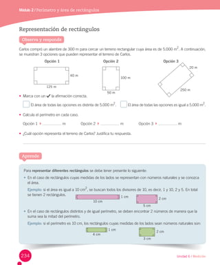 Unidad 6 / Medición
Observa y responde
Representación de rectángulos
Carlos	compró	un	alambre	de	300	m	para	cercar	un	terreno	rectangular	cuya	área	es	de	5.000	m
2
.	A	continuación,	
se	muestran	3	opciones	que	pueden	representar	el	terreno	de	Carlos.
	 Opción 1 Opción 2 Opción 3
•	 Marca	con	un	 	la	afirmación	correcta.
	El	área	de	todas	las	opciones	es	distinta	de	5.000	m
2
.	 	El	área	de	todas	las	opciones	es	igual	a	5.000	m
2
.
•	 Calcula	el	perímetro	en	cada	caso.
Opción	1		 	 	m														Opción	2		 	 	m														Opción	3		 	 	m	
•	 ¿Cuál	opción	representa	el	terreno	de	Carlos?	Justifica	tu	respuesta.
Módulo 2 / Perímetro y área de rectángulos
20 m
50 m
250 m
100 m
40 m
125 m
Aprende
Para	representar diferentes rectángulos	se	debe	tener	presente	lo	siguiente:
•	 En	el	caso	de	rectángulos	cuyas	medidas	de	los	lados	se	representan	con	números	naturales	y	se	conozca	
el	área.
Ejemplo: si	el	área	es	igual	a	10	cm2
,	se	buscan	todos	los	divisores	de	10,	es	decir,	1	y	10,	2	y	5.	En	total	
se	tienen	2	rectángulos.
•	 En	el	caso	de	rectángulos	distintos	y	de	igual	perímetro,	se	deben	encontrar	2	números	de	manera	que	la	
suma	sea	la	mitad	del	perímetro.
Ejemplo: si	el	perímetro	es	10	cm,	los	rectángulos	cuyas	medidas	de	los	lados	sean	números	naturales	son:
5 cm
2 cm
3 cm
2 cm
1 cm
10 cm
1 cm
4 cm
234
 