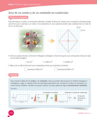 Unidad 6 / Medición
Para	calcular	el	área	(A)	de	rombos	o	de	romboides,	estos	se	pueden	descomponer	en	distintos	triángulos	o	
rectángulos.	Luego,	se	calcula	el	área	de	cada	figura	geométrica	que	compone	el	rombo	y	el	romboide	y	se	
suman	dichas	medidas.	También	se	pueden	calcular	sus	áreas	aplicando	alguna	transformación isométrica.
Ejemplo:
Aprende
Observa y responde
Área de un rombo y de un romboide en cuadrículas
Para	hermosear	un	jardín,	se	sembrarán	diferentes	semillas	de	flores	de	manera	que	la	superficie	sembrada	tenga	
una	forma	que	se	asemeje	a	un	rombo.	Si	se	representa	en	una	cuadrícula	donde	cada	cuadrado	tiene	un	lado	de	
10	cm,	se	tiene	que:
•	 Como	se	puede	observar,	se	forman	4	triángulos	rectángulos.	Encierra	la	opción	que	corresponde	al	área	de	cada	
uno	de	estos	triángulos.
	15	cm
2
																							 	1.500	cm
2
																							 	15.000	cm
2
•	 Marca	con	un	 	la	afirmación	que	corresponda	al	área	que	el	jardinero	sembrará.	
	Sembrará	6.000	cm
2
.																							 	Sembrará	60.000	cm
2	
.
Módulo 3 / Área de figuras geométricas
3 cm 3 cm3 cm
6 cm 6 cm 6 cm
El área del
romboide es
18 cm
2
.
El triángulo se traslada. Utilizando el conteo de cuadrículas.
tiene que:
puede observar, se forman 4 triángulos rectángulos.
Orquídeas
Lirios
Rosas
Claveles
10 cm
10 cm
242
 