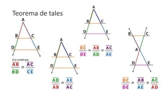 Teorema de tales
 