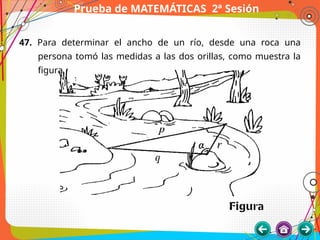 Prueba de MATEMÁTICAS 2ª Sesión
47. Para determinar el ancho de un río, desde una roca una
persona tomó las medidas a las dos orillas, como muestra la
figura,
 