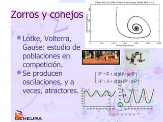 Zorros y conejos Lotke, Volterra, Gause: estudio de poblaciones en competición. Se producen oscilaciones, y a veces, atractores. 