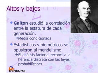 Altos y bajos Galton  estudió la correlación entre la estatura de cada generación. Media condicionada Estadísticos y biométricos se opusieron al mendelismo El análisis factorial reconcilia la herencia discreta con las leyes probabilísticas. 