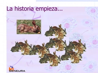 La historia empieza... 
