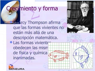 Crecimiento y forma D´Arcy Thompson afirma que las formas vivientes no están más allá de una descripción matemática. Las formas vivientes obedecen las mismas leyes de física y química que las inanimadas. 