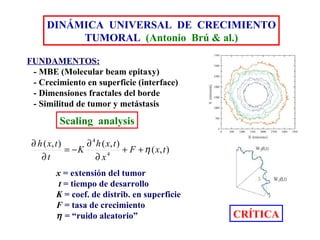 DINÁMICA  UNIVERSAL  DE  CRECIMIENTO TUMORAL   (Antonio  Brú & al.) FUNDAMENTOS: - MBE (Molecular beam epitaxy) - Crecimiento en superficie (interface) - Dimensiones fractales del borde - Similitud de tumor y metástasis Scaling  analysis x   = extensión del tumor t  = tiempo de desarrollo K   = coef. de distrib. en superficie F  = tasa de crecimiento    = “ruido aleatorio”   CRÍTICA 
