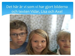 Det här är vi som vi har gjort bilderna
och texten Vidar, Lisa och Axel
 