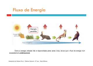 Fluxo de Energia


                                        Energia
                                        perdida




Adaptado de: Sistema Terra - Ciências Naturais – 8º ano - Texto Editores
 