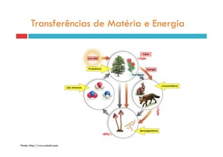 Transferências de Matéria e Energia




Fonte: http://www.cientic.com
 