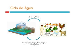 Ciclo da Água

                Consumo/Absorção




       Excreções, Respiração, Transpiração e
                   Decomposição
 