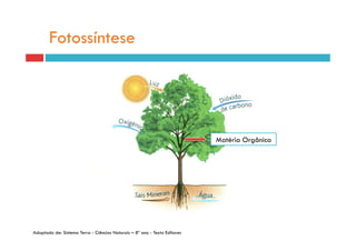 Fotossíntese




                                                                           Matéria Orgânica




Adaptado de: Sistema Terra - Ciências Naturais – 8º ano - Texto Editores
 