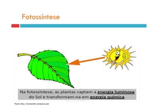 Fotossíntese




Fonte: http://bciencia8.wordpress.com
 