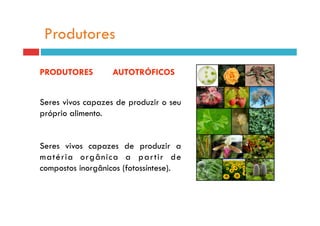 Produtores

PRODUTORES         AUTOTRÓFICOS


Seres vivos capazes de produzir o seu
próprio alimento.


Seres vivos capazes de produzir a
matéria orgânica a par tir de
compostos inorgânicos (fotossíntese).
 