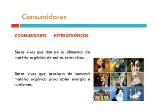 Consumidores

CONSUMIDORES        HETEROTRÓFICOS


Seres vivos que têm de se alimentar da
matéria orgânica de outros seres vivos.


Seres vivos que precisam de consumir
matéria orgânica para obter energia e
nutrientes.
 