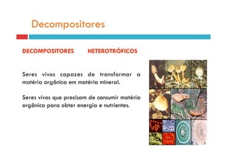 Decompositores

DECOMPOSITORES          HETEROTRÓFICOS


Seres vivos capazes de transformar a
matéria orgânica em matéria mineral.

Seres vivos que precisam de consumir matéria
orgânica para obter energia e nutrientes.
 