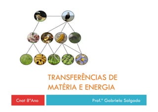 TRANSFERÊNCIAS DE
             MATÉRIA E ENERGIA
Cnat 8ºAno             Prof.ª Gabriela Salgado
 