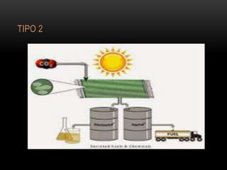 TIPO 2
 
