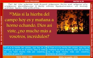 30Más si la hierba del 
campo hoy es y mañana a 
horno echando, Dios así 
viste, ¿no mucho más a 
vosotros, incrédulos? 
MATEO 6,30 
30Y si a la hierba del campo, que hoy es y 
mañana se quema en el horno, Dios la viste 
así, ¿no hará mucho más por vosotros, 
hombres de poca fe? 
30 Pues si a la hierba del campo, que hoy es 
y mañana se echa al horno, Dios así la viste, 
¿no lo hará mucho más con vosotros, 
hombres de poca fe? 
Reina Valera 1995 Biblia Jerusalén 1976 
DR. ESYIN CALDERÓN VALVERDE 
DIOS PROVEERÁ 
CASA DE ORACIÓN, DANIEL FLORES, PÉREZ ZELEDÓN, COSTA RICA 
 