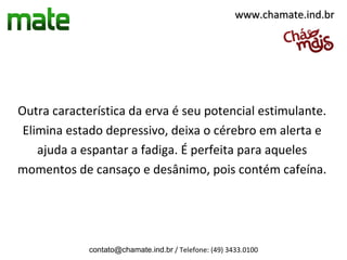 www.chamate.ind.br




Outra característica da erva é seu potencial estimulante.
 Elimina estado depressivo, deixa o cérebro em alerta e
    ajuda a espantar a fadiga. É perfeita para aqueles
momentos de cansaço e desânimo, pois contém cafeína.




             contato@chamate.ind.br / Telefone: (49) 3433.0100
 