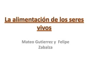 Mateo Gutierrez y  Felipe Zabalza La alimentación de los seres vivos 