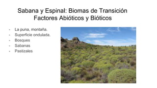 Sabana y Espinal: Biomas de Transición
Factores Abióticos y Bióticos
- La puna, montaña.
- Superficie ondulada.
- Bosques
- Sabanas
- Pastizales
 
