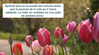 Aprendí que no se puede dar marcha atrás,
   que la esencia de la vida es ir hacia
adelante. La vida, en realidad, es una calle
            de sentido único.
 