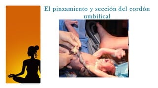 El pinzamiento y sección del cordón
             umbilical
 