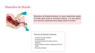 Maniobra de Brandt
Maniobra de Brandt-Andrews: la mano abdominal sujeta
el fondo para evitar la inversión uterina, y la otra ejerce
una tracción sostenida hacia abajo sobre el cordón.
 