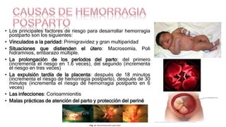 • Los principales factores de riesgo para desarrollar hemorragia
postparto son los siguientes:
• Vinculados a la paridad: Primigravidez y gran multiparidad
• Situaciones que distienden el útero: Macrosomía, Poli
hidramnios, embarazo múltiple.
• La prolongación de los períodos del parto: del primero
(incrementa el riesgo en 1.6 veces), del segundo (incrementa
el riesgo en tres veces)
• La expulsión tardía de la placenta: después de 18 minutos
(incrementa el riesgo de hemorragia postparto), después de 30
minutos (incrementa el riesgo de hemorragia postparto en 6
veces)
• Las infecciones: Corioamnionitis
• Malas prácticas de atención del parto y protección del periné
 