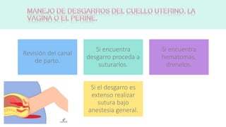Revisión del canal
de parto.
Si encuentra
desgarro proceda a
suturarlos.
Si encuentra
hematomas,
drenelos.
Si el desgarro es
extenso realizar
sutura bajo
anestesia general.
 