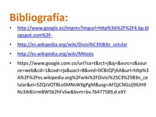 Bibliografía: 
• http://www.google.es/imgres?imgurl=http%3A%2F%2F4.bp.bl 
ogspot.com%2F- 
• http://es.wikipedia.org/wiki/Divisi%C3%B3n_celular 
• http://es.wikipedia.org/wiki/Mitosis 
• https://www.google.com.co/url?sa=t&rct=j&q=&esrc=s&sour 
ce=web&cd=1&cad=rja&uact=8&ved=0CBsQFjAA&url=http%3 
A%2F%2Fes.wikipedia.org%2Fwiki%2FDivisi%25C3%25B3n_ce 
lular&ei=5ZQsVOTBLoSMNsWXgPgM&usg=AFQjCNGsJj9XJH9 
Nz3JkBUrmBW5b2hFvSw&bvm=bv.76477589,d.eXY 

