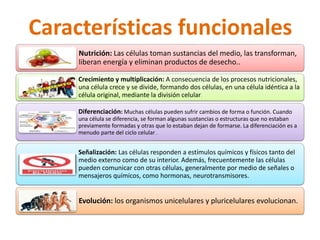 Características funcionales 
Nutrición: Las células toman sustancias del medio, las transforman, 
liberan energía y eliminan productos de desecho.. 
Crecimiento y multiplicación: A consecuencia de los procesos nutricionales, 
una célula crece y se divide, formando dos células, en una célula idéntica a la 
célula original, mediante la división celular. 
Diferenciación: Muchas células pueden sufrir cambios de forma o función. Cuando 
una célula se diferencia, se forman algunas sustancias o estructuras que no estaban 
previamente formadas y otras que lo estaban dejan de formarse. La diferenciación es a 
menudo parte del ciclo celular . 
Señalización: Las células responden a estímulos químicos y físicos tanto del 
medio externo como de su interior. Además, frecuentemente las células 
pueden comunicar con otras células, generalmente por medio de señales o 
mensajeros químicos, como hormonas, neurotransmisores. 
Evolución: los organismos unicelulares y pluricelulares evolucionan. 
 