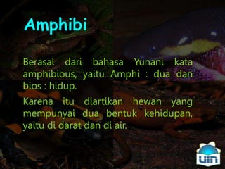 Berasal dari bahasa Yunani kata
amphibious, yaitu Amphi : dua dan
bios : hidup.
Karena itu diartikan hewan yang
mempunyai dua bentuk kehidupan,
yaitu di darat dan di air.
Amphibi
 