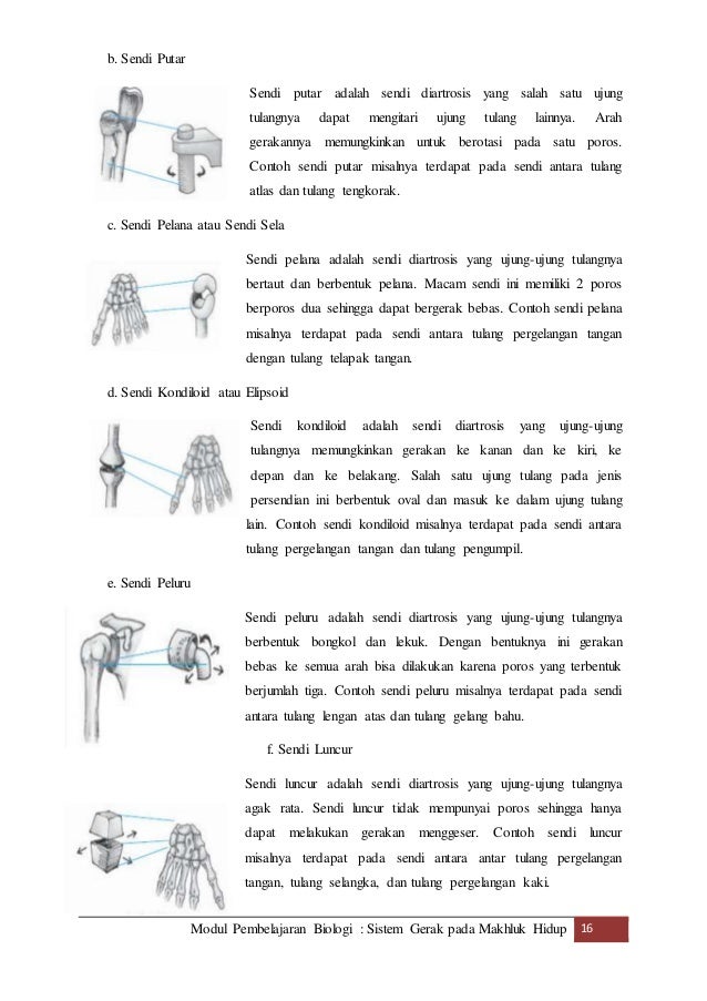 Modul Pembelajaran: Sistem Gerak Makhluk Hidup