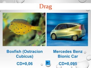 Boxfish (Ostracion
Cubicus)
CD=0,06
Mercedes Benz
Bionic Car
CD=0,095
 