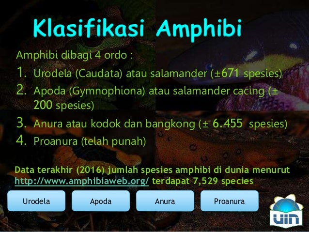 80+ Gambar Salamander Cacing Paling Hist 80+ Gambar Salamander Cacing Paling Hist