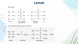 Struktur
Contoh pembentukan lemak
Lemak
 