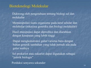 14
Bioteknologi Molekular
Didorong oleh pengetahuan tentang biologi sel dan
molekular
Memanipulasi suatu organisme pada taraf selular dan
molekular (rekayasa genetika dan biologi molekular)
Hasil manipulasi dapat diprediksi dan diarahkan
dengan ketepatan yang lebih tinggi
Dapat mengkonstruksi galur/varietas baru dengan
bahan genetik tambahan yang tidak pernah ada pada
galur asalnya
Sel prokariot atau eukariot dapat digunakan sebagai
“pabrik biologis”
Porduksi senyawa sekunder
 