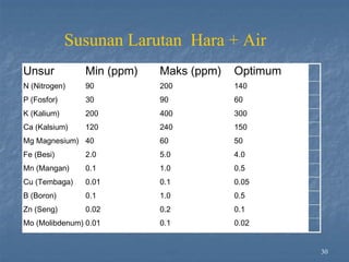 Unsur Min (ppm) Maks (ppm) Optimum
N (Nitrogen) 90 200 140
P (Fosfor) 30 90 60
K (Kalium) 200 400 300
Ca (Kalsium) 120 240 150
Mg Magnesium) 40 60 50
Fe (Besi) 2.0 5.0 4.0
Mn (Mangan) 0.1 1.0 0.5
Cu (Tembaga) 0.01 0.1 0.05
B (Boron) 0.1 1.0 0.5
Zn (Seng) 0.02 0.2 0.1
Mo (Molibdenum) 0.01 0.1 0.02
30
Susunan Larutan Hara + Air
 