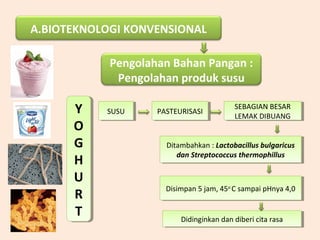 A.BIOTEKNOLOGI KONVENSIONAL
Pengolahan Bahan Pangan :
Pengolahan produk susu
Y
O
G
H
U
R
T
Y
O
G
H
U
R
T
SUSUSUSU PASTEURISASIPASTEURISASI
SEBAGIAN BESAR
LEMAK DIBUANG
SEBAGIAN BESAR
LEMAK DIBUANG
Ditambahkan : Lactobacillus bulgaricus
dan Streptococcus thermophillus
Ditambahkan : Lactobacillus bulgaricus
dan Streptococcus thermophillus
Disimpan 5 jam, 45o
C sampai pHnya 4,0Disimpan 5 jam, 45o
C sampai pHnya 4,0
Didinginkan dan diberi cita rasaDidinginkan dan diberi cita rasa
 