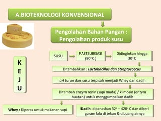 A.BIOTEKNOLOGI KONVENSIONAL
Pengolahan Bahan Pangan :
Pengolahan produk susu
K
E
J
U
K
E
J
U
SUSUSUSU
PASTEURISASI
(90o
C )
PASTEURISASI
(90o
C )
Didinginkan hingga
30o
C
Didinginkan hingga
30o
C
Ditambahkan : Lactobacillus dan StreptococcusDitambahkan : Lactobacillus dan Streptococcus
pH turun dan susu terpisah menjadi Whey dan dadihpH turun dan susu terpisah menjadi Whey dan dadih
Dadih dipanaskan 32o
– 420o
C dan diberi
garam lalu di tekan & dibuang airnya
Dadih dipanaskan 32o
– 420o
C dan diberi
garam lalu di tekan & dibuang airnya
Whey : Diperas untuk makanan sapiWhey : Diperas untuk makanan sapi
Ditambah enzym renin (sapi muda) / klimosin (enzym
buatan) untuk menggumpalkan dadih
Ditambah enzym renin (sapi muda) / klimosin (enzym
buatan) untuk menggumpalkan dadih
 