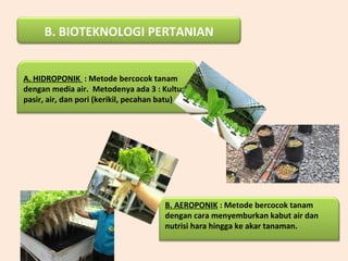 B. BIOTEKNOLOGI PERTANIAN
A. HIDROPONIK : Metode bercocok tanam
dengan media air. Metodenya ada 3 : Kultur
pasir, air, dan pori (kerikil, pecahan batu)
B. AEROPONIK : Metode bercocok tanam
dengan cara menyemburkan kabut air dan
nutrisi hara hingga ke akar tanaman.
 
