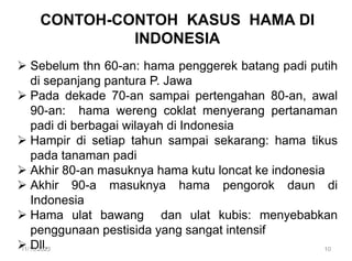 CONTOH-CONTOH KASUS HAMA DI
INDONESIA
 Sebelum thn 60-an: hama penggerek batang padi putih
di sepanjang pantura P. Jawa
 Pada dekade 70-an sampai pertengahan 80-an, awal
90-an: hama wereng coklat menyerang pertanaman
padi di berbagai wilayah di Indonesia
 Hampir di setiap tahun sampai sekarang: hama tikus
pada tanaman padi
 Akhir 80-an masuknya hama kutu loncat ke indonesia
 Akhir 90-a masuknya hama pengorok daun di
Indonesia
 Hama ulat bawang dan ulat kubis: menyebabkan
penggunaan pestisida yang sangat intensif
 Dll.
11/13/2023 10
 