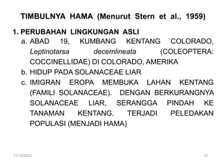 TIMBULNYA HAMA (Menurut Stern et al., 1959)
1. PERUBAHAN LINGKUNGAN ASLI
a. ABAD 19, KUMBANG KENTANG COLORADO,
Leptinotarsa decemlineata (COLEOPTERA:
COCCINELLIDAE) DI COLORADO, AMERIKA
b. HIDUP PADA SOLANACEAE LIAR
c. IMIGRAN EROPA MEMBUKA LAHAN KENTANG
(FAMILI SOLANACEAE). DENGAN BERKURANGNYA
SOLANACEAE LIAR, SERANGGA PINDAH KE
TANAMAN KENTANG, TERJADI PELEDAKAN
POPULASI (MENJADI HAMA)
11/13/2023 12
 