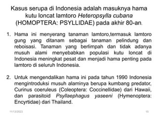 Kasus serupa di Indonesia adalah masuknya hama
kutu loncat lamtoro Heteropsylla cubana
(HOMOPTERA: PSYLLIDAE) pada akhir 80-an.
1. Hama ini menyerang tanaman lamtoro,termasuk lamtoro
gung yang ditanam sebagai tanaman pelindung dan
reboisasi. Tanaman yang berlimpah dan tidak adanya
musuh alami menyebabkan populasi kutu loncat di
Indonesia meningkat pesat dan menjadi hama penting pada
lamtoro di seluruh Indonesia.
2. Untuk mengendalikan hama ini pada tahun 1990 Indonesia
mengintroduksi musuh alaminya berupa kumbang predator,
Curinus coeruleus (Coleoptera: Coccinellidae) dari Hawaii,
dan parasitoid Psyllaephagus yaseeni (Hymenoptera:
Encyrtidae) dari Thailand.
11/13/2023 15
 
