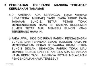 3. PERUBAHAN TOLERANSI MANUSIA TERHADAP
KERUSAKAN TANAMAN
a.DI AMERIKA, ADA SERANGGA, Lygus hesperus
(HEMIPTERA: MIRIDAE) YANG BIASA HIDUP PADA
TANAMAN BUNCIS, TETAPI PETANI TIDAK
MENGENDALIKAN HAMA INI KARENA KONSUMEN
SUMEN TETAP MAU MEMBELI BUNCIS YANG
TERSERANG HAMA INI.
b.PADA AWAL 1900 DIDIRIKAN PABRIK PENGALENGAN
BUNCIS, DAN TERNYATA BEKAS TUSUKAN HAMA INI
MENINGGALKAN BEKAS BERWARNA HITAM KETIKA
BUNCIS DIOLAH, SEHINGGA PABRIK TIDAK MAU
MEMBELI BUNCIS DARI PETANI BILA ADA SERANGAN
HAMA KEPIK TADI. AKHIRNYA PETANI MELAKUKAN
PENGENDALIAN HAMA TERSEBUT
11/13/2023 16
 