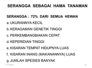 SERANGGA SEBAGAI HAMA TANAMAN
SERANGGA : 72% DARI SEMUA HEWAN
a.UKURANNYA KECIL
b.KERAGAMAN GENETIK TINGGI
c. PERKEMBANGBIAKAN CEPAT
d.KEPERIDIAN TINGGI
e.KISARAN TEMPAT HIDUPNYA LUAS
f. KISARAN INANG (MAKANANNYA) LUAS
g.JUMLAH SPESIES BANYAK
11/13/2023 23
 