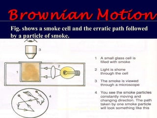 Brownian Motion   Fig. shows a smoke cell and the erratic path followed by a particle of smoke. (continue on next slide) 