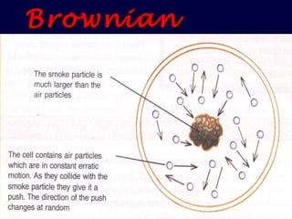 Brownian Motion   